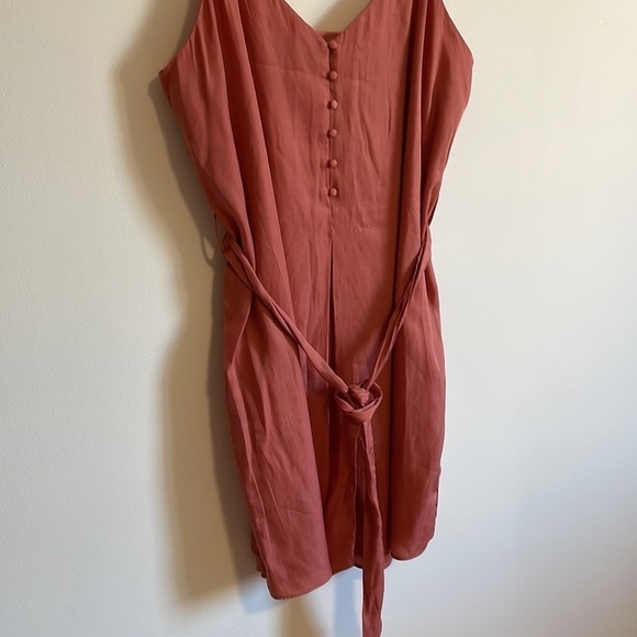 Feminine Rose Mini Dress Soft Girl Neutral Naked Zebra Silky Med Pink Minimalist - Picture 3 of 11